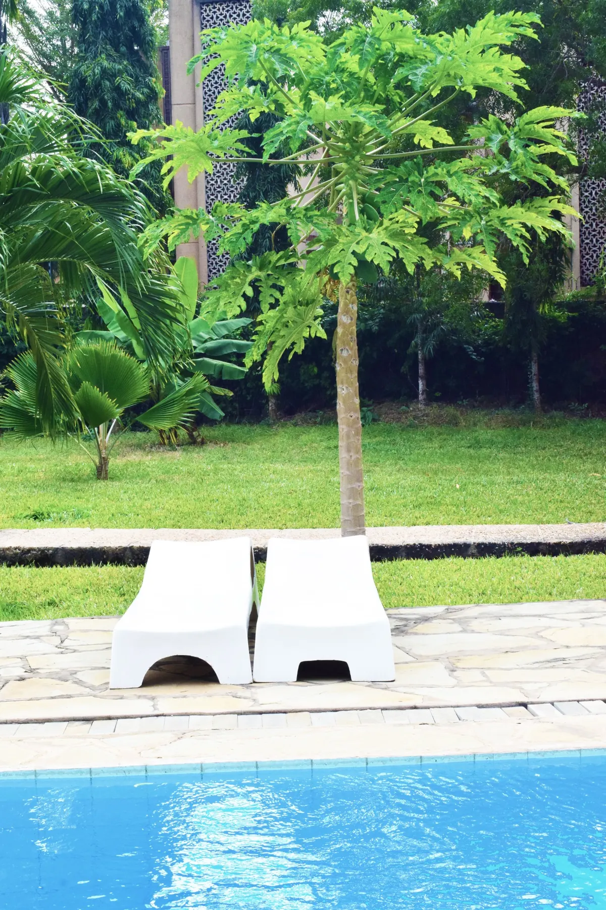 Garden and pool surroundings at Raquel's Bliss